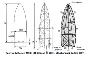 Composit image of examples of metric measurements and indices used in analyses of stone projectile points