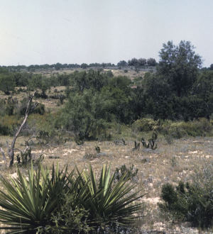 photo of upland landscape