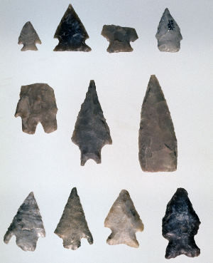 photo of projectile points