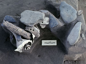 photo of burial offerings