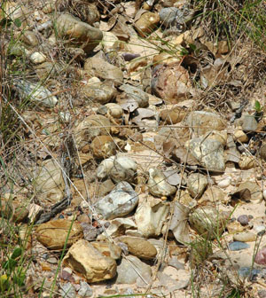 photo of uvalde gravels-east