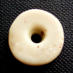 photo of conch shell bead