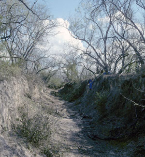 photo of a silage trench
