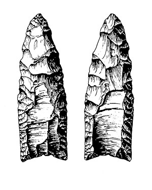 drawing of a clovis point
