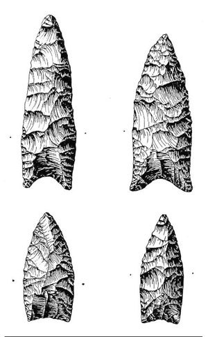 illustration of Golondrina and Plainview Points