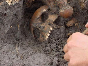 Closeup photo of a skull, shown as it is being carefully cleaned during excavations
