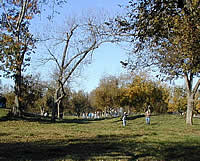 Cabe Mounds site
