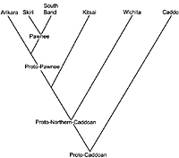 diagram of Caddoan language relationships