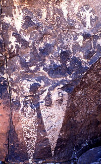 photo of carved petroglyphs at Alamo Canyon