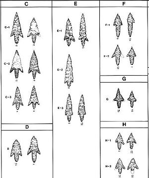 illustration of the ten major morphological groupings