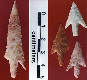 photo of examples of lightly serrated Perdiz points from Rough Run 