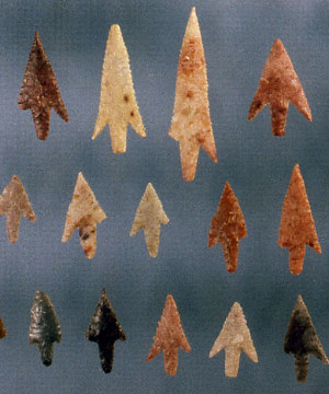 photo of Rough Run projectile point assemblage