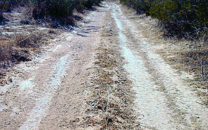 photo of ruts on the San Andres Salt Trail