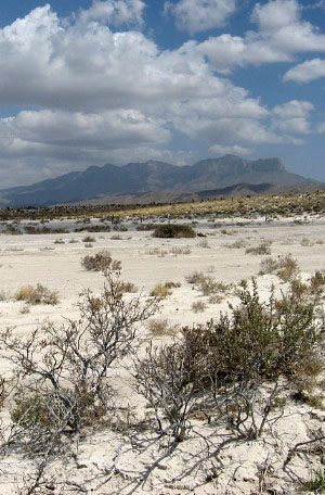 photo of Salt Flats east of Guadalupe Mountains