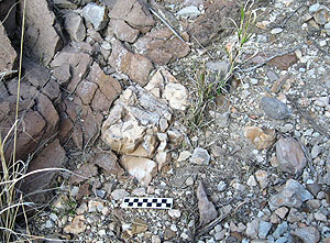photo of outcrop of Cienega brown chert in Big Bend Ranch State Park