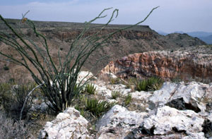 photo of Burro Mesa quarry on the rim of Apache Canyon