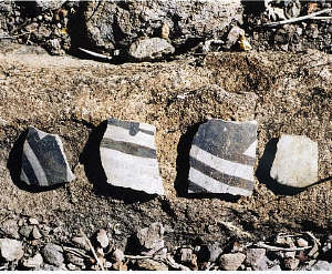 photo of the four sherds of Chupadero Black-on-White found at Potsherd Rockshelter
