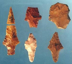 photo of Middle Archaic contracting stem dart points from the Rosillos Peak site