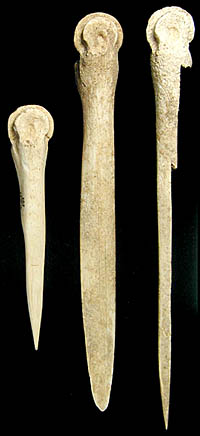photo of bone awls