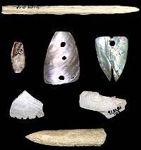 photo of shell and bone artifacts