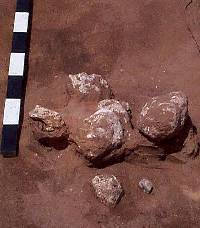photo of large caliche cobbles