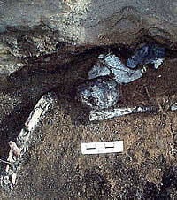 photo of burned artifacts