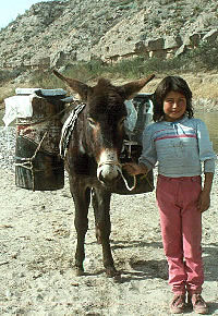 photo of  a young girl