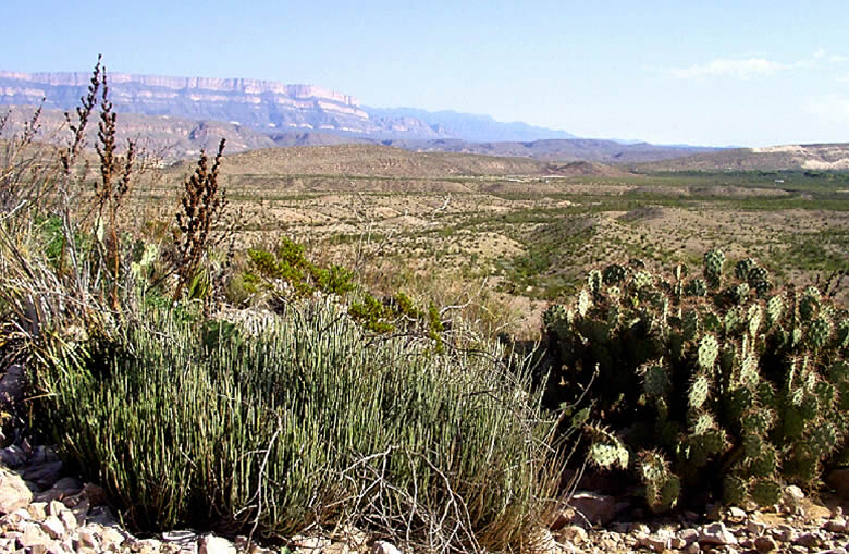 photo of the Sierra del Carmen mountains